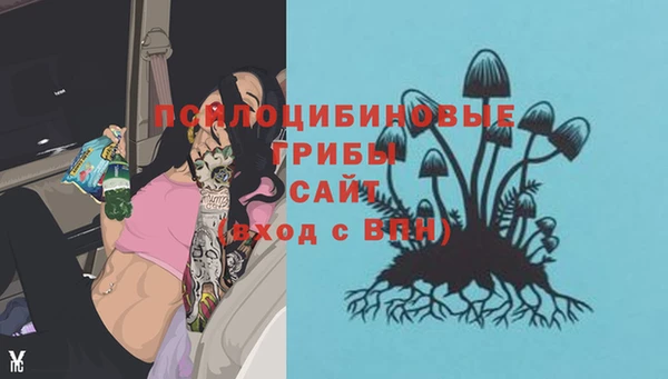 гидропоника Вязники