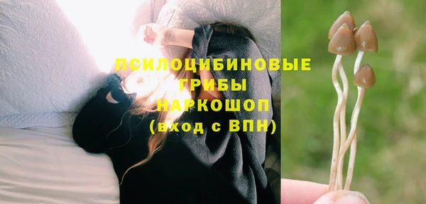 прущие крисы Вяземский