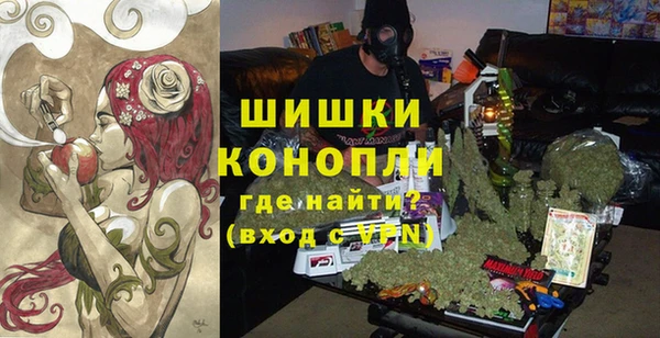 прущие крисы Вяземский