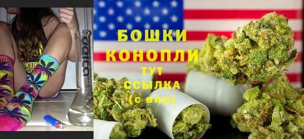 прущие крисы Вяземский
