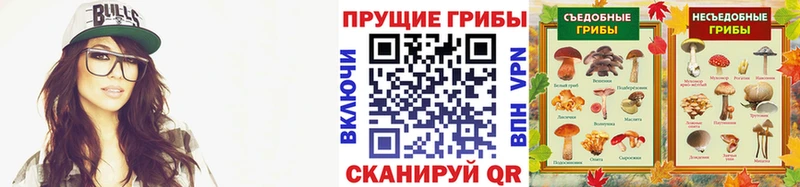 Купить где  Краснозаводск  Псилоцибиновые грибы Psilocybe 